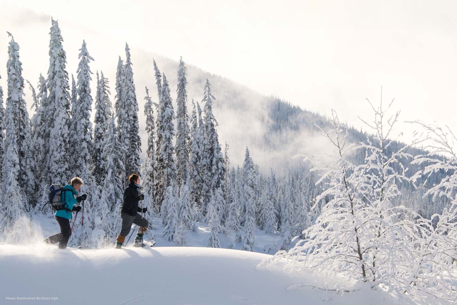 Get Outside - Guided Hiking, Backpacking & Snowshoeing