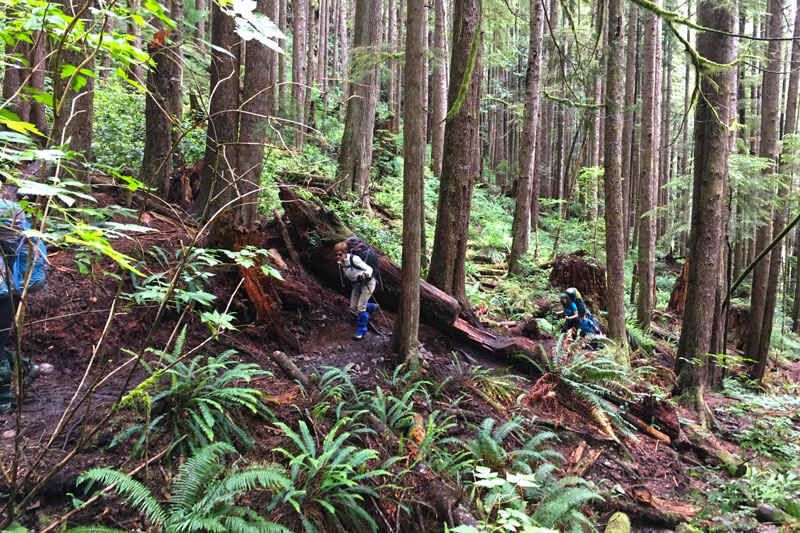 west coast trail tours